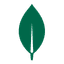 MongoDB